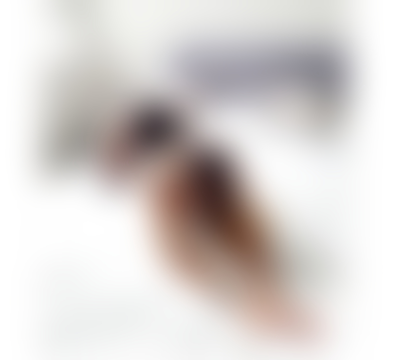 Trans Escorts South Yorkshire Doncaster - Photos for NATASHA TS NEW IN TOWN ONLY OUTCALLS PARTY